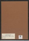 Liostephania rotula Ehr. (de-Toni-Nr.: Genus 243, Species 5730) Zeichnungen Sammlung Grunow Mappe 05438 (Herbarium_W_Grunow_drawings_Folder_05438)